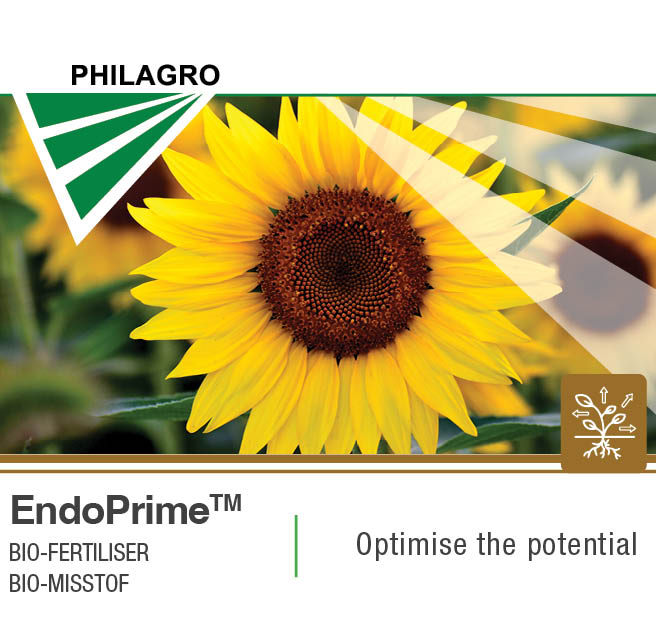 EndoPrime™